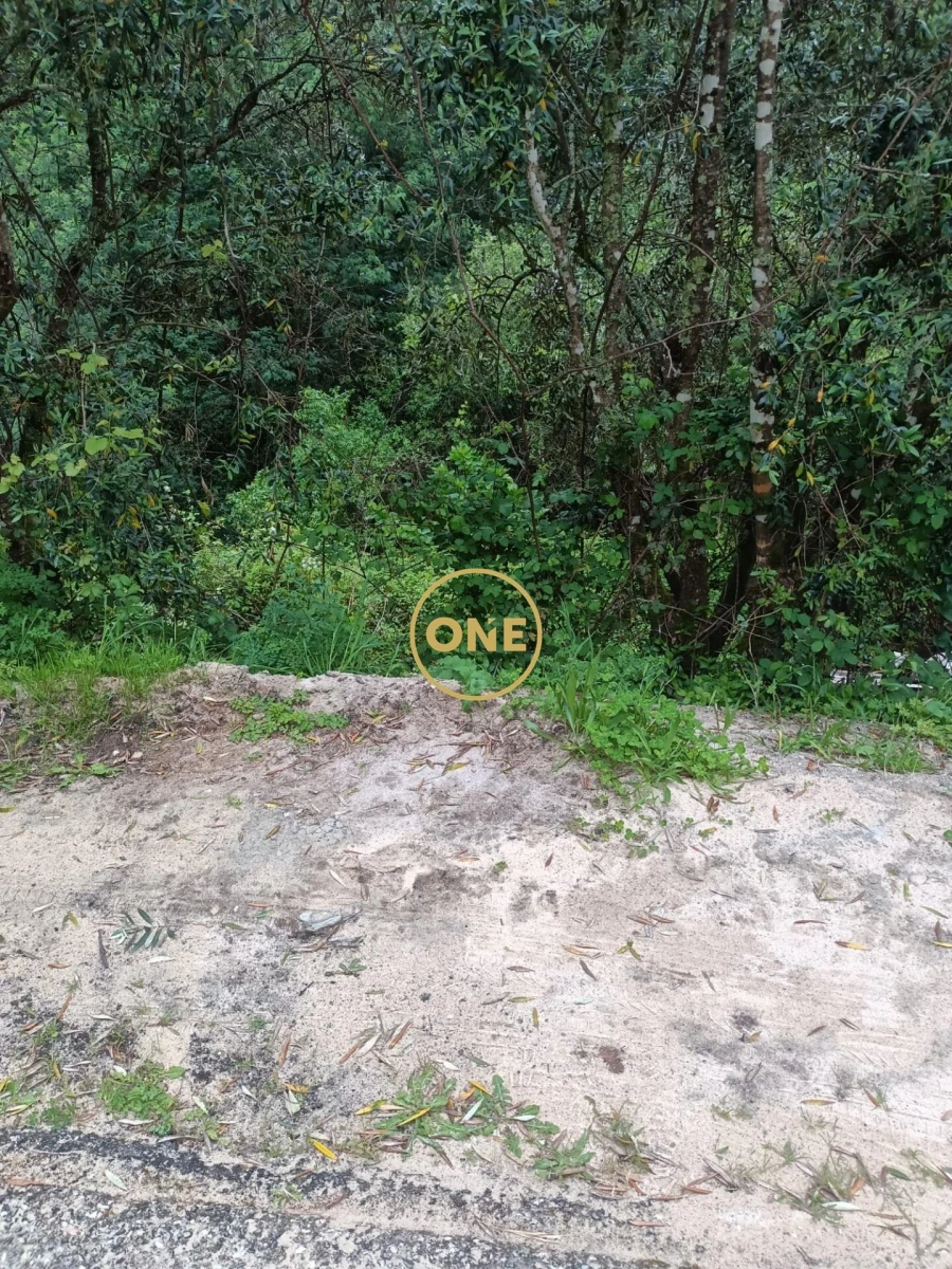 Terreno para Venda em Santo Antonio dos Olivais Foto 5