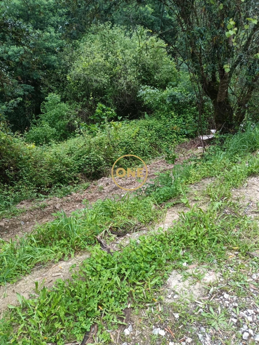 Terreno para Venda em Santo Antonio dos Olivais Foto 4