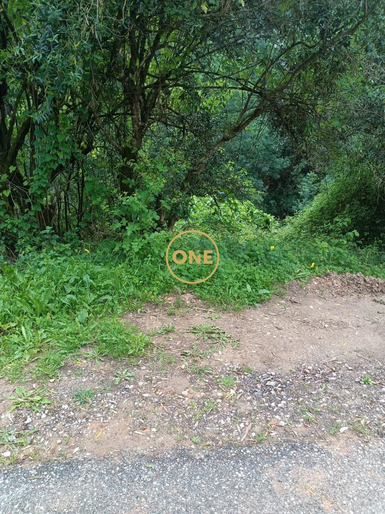 Terreno para Venda em Santo Antonio dos Olivais Foto 6