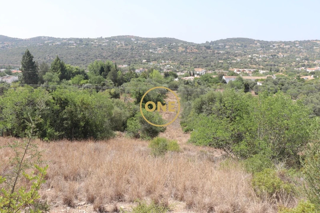 Terreno para Venda em São Brás de Alportel Foto 6
