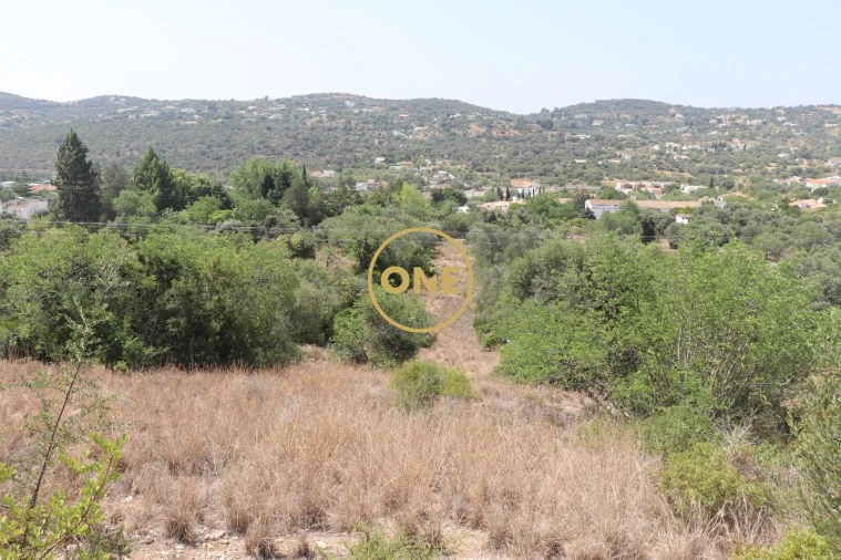 Terreno para Venda em São Brás de Alportel Foto 6