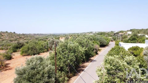 Terreno para Venda em Boliqueime