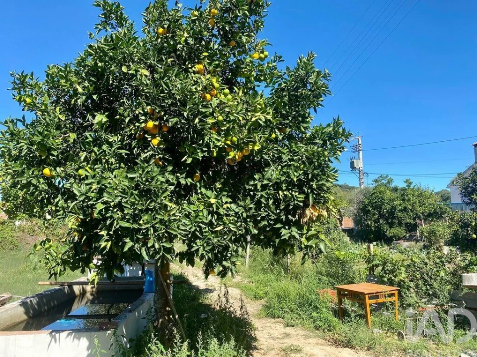 Moradia para Venda em Chamusca e Pinheiro Grande Foto 27