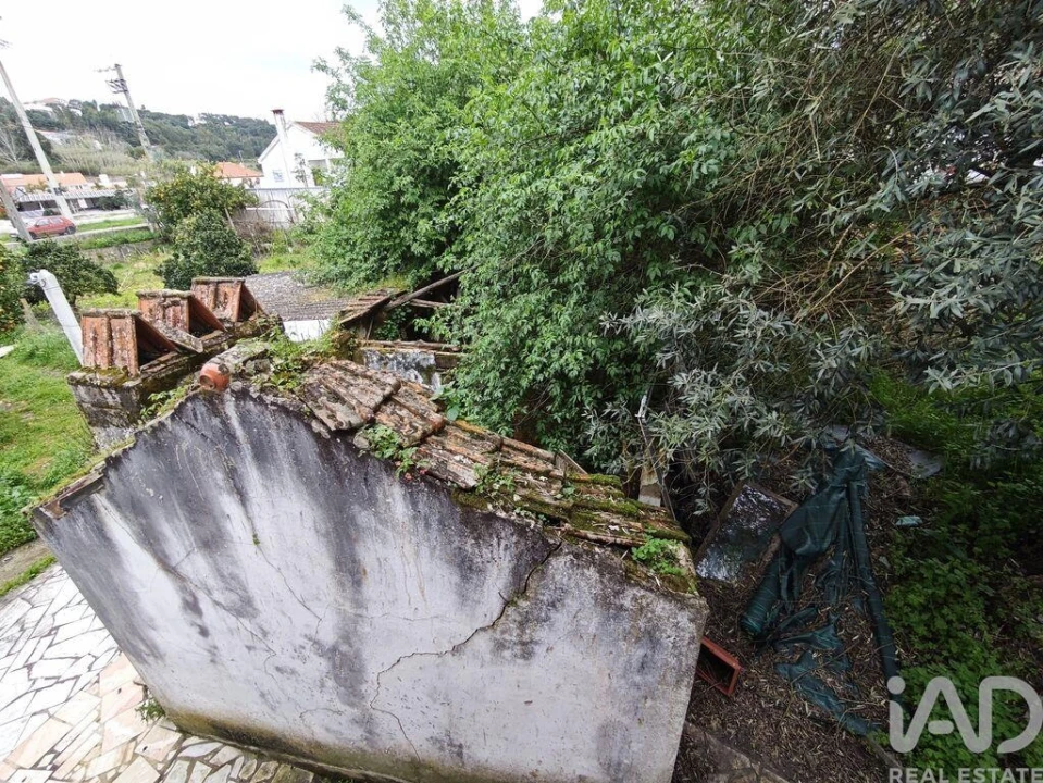 Moradia para Venda em Chamusca e Pinheiro Grande Foto 29