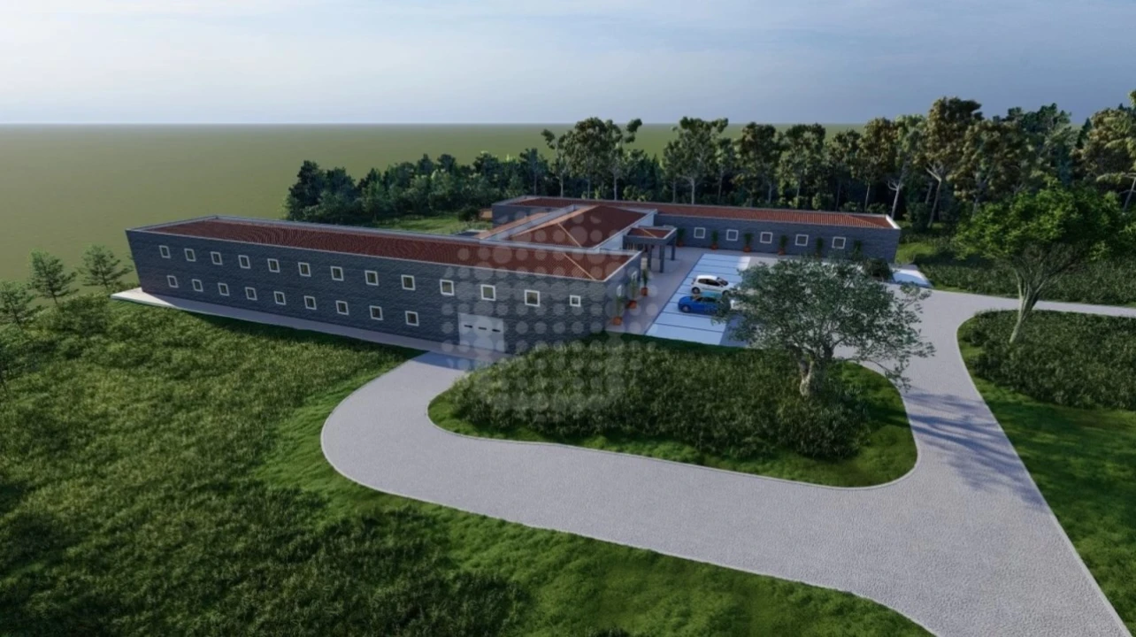 Negócio para Venda em Guia Foto 10