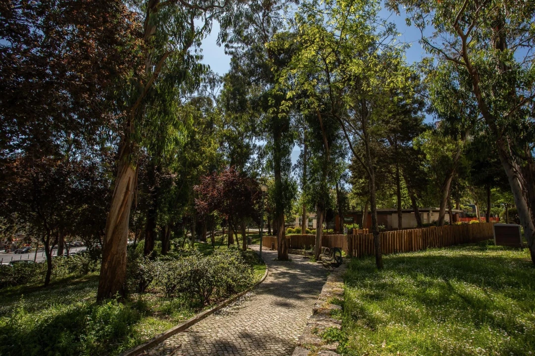 Apartamento T3 para Venda em Benfica Foto 33