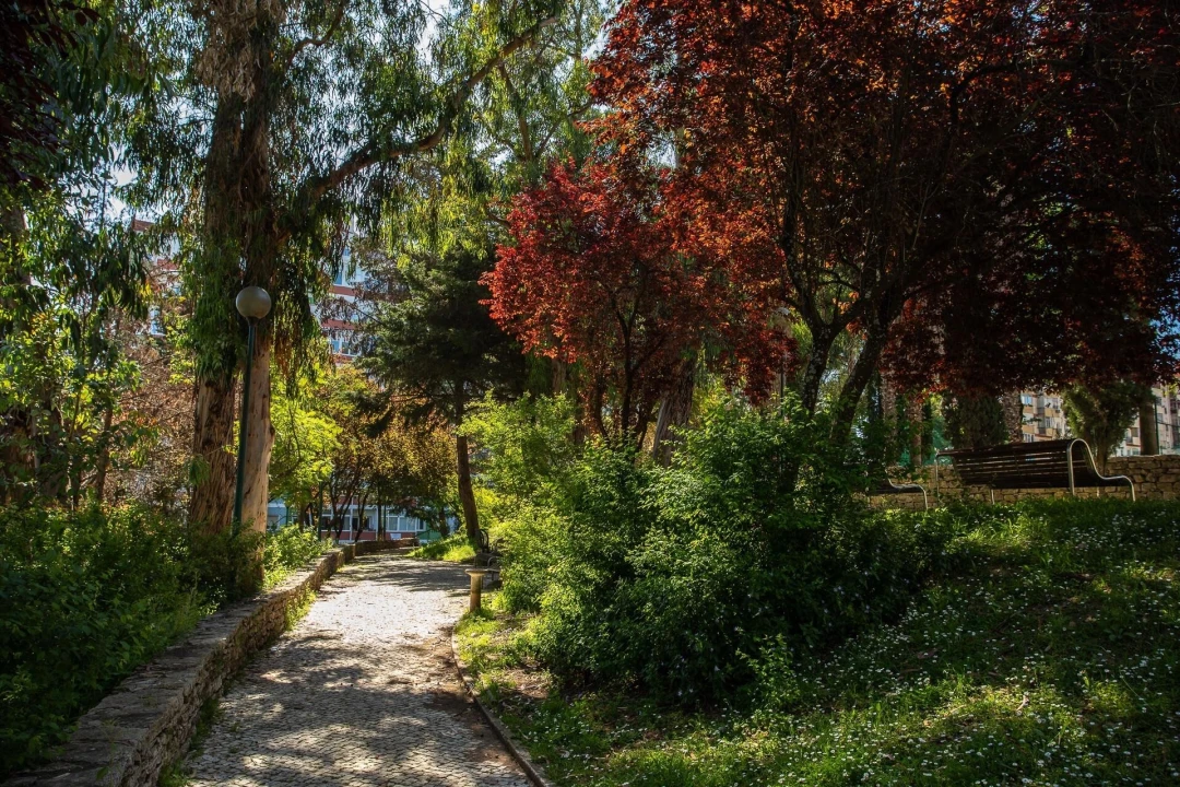 Apartamento T3 para Venda em Benfica Foto 29