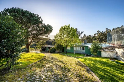 Quinta T4 para Venda em Nogueira do Cravo e Pindelo