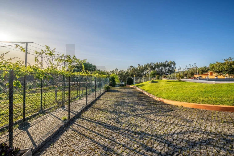 Quinta T4 para Venda em Nogueira do Cravo e Pindelo Foto 68