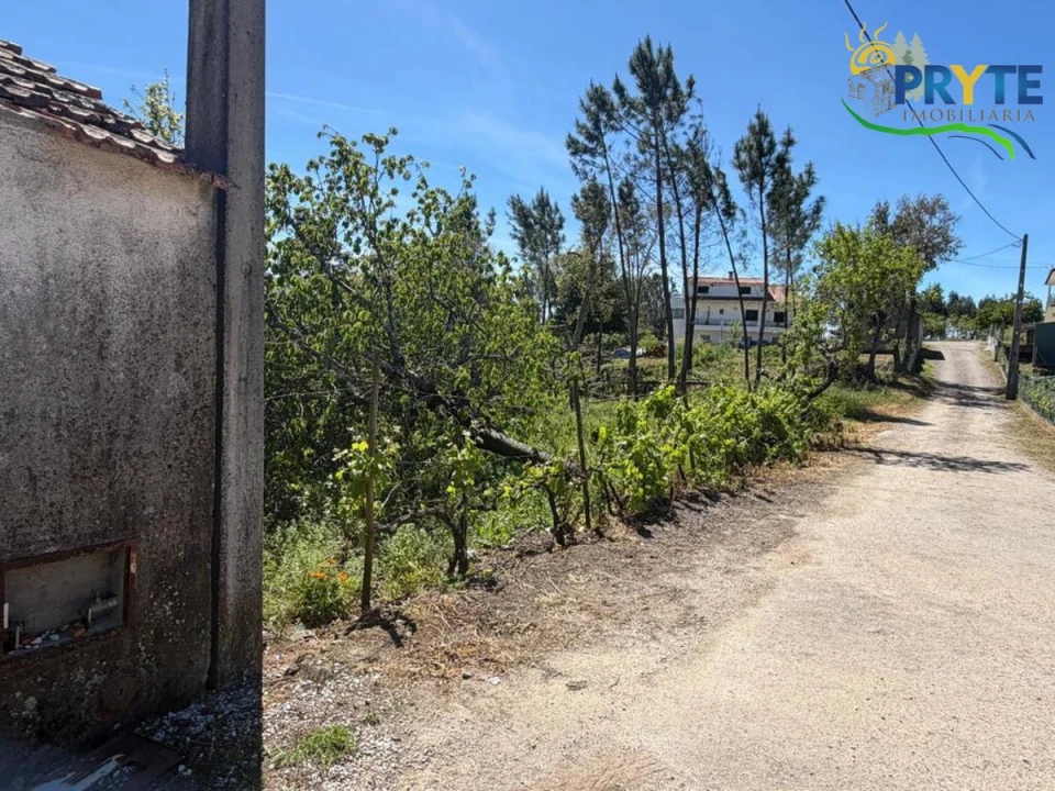 Terreno para Venda em Castelo Foto 1
