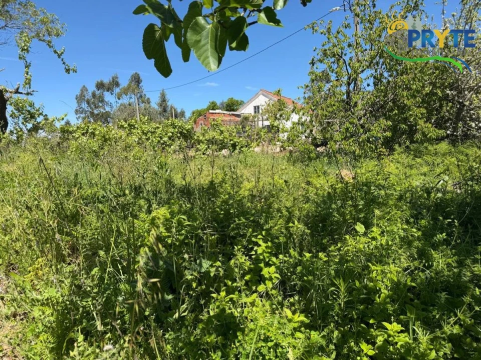 Terreno para Venda em Castelo Foto 8