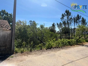 Terreno para Venda em Castelo