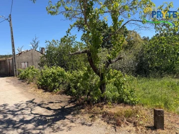 Terreno para Venda em Castelo
