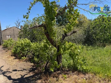 Terreno para Venda em Castelo