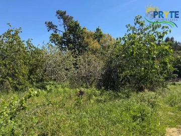 Terreno para Venda em Castelo