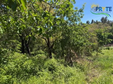 Terreno para Venda em Castelo