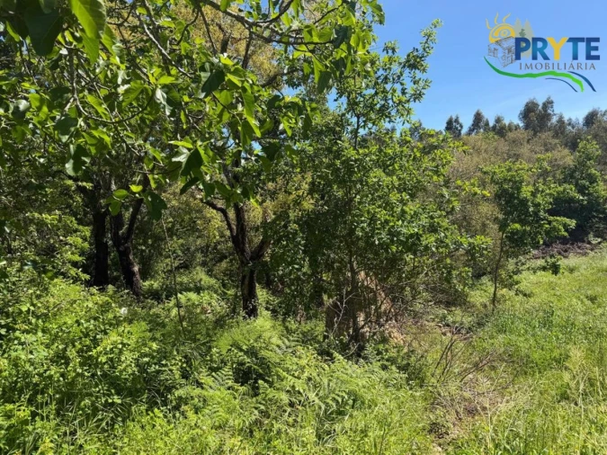 Terreno para Venda em Castelo Foto 7