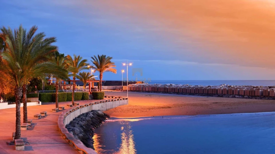 Terreno para Venda em Calheta Foto 3