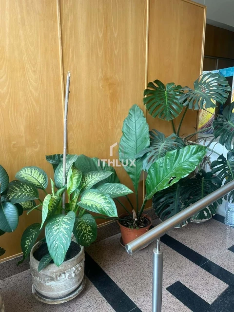 Apartamento T3 para Venda em Laranjeiro e Feijó