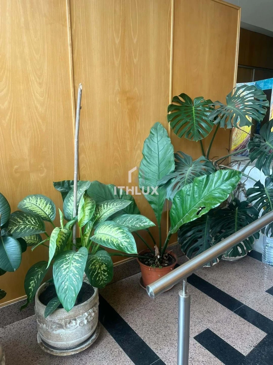 Apartamento T3 para Venda em Laranjeiro e Feijó Foto 4