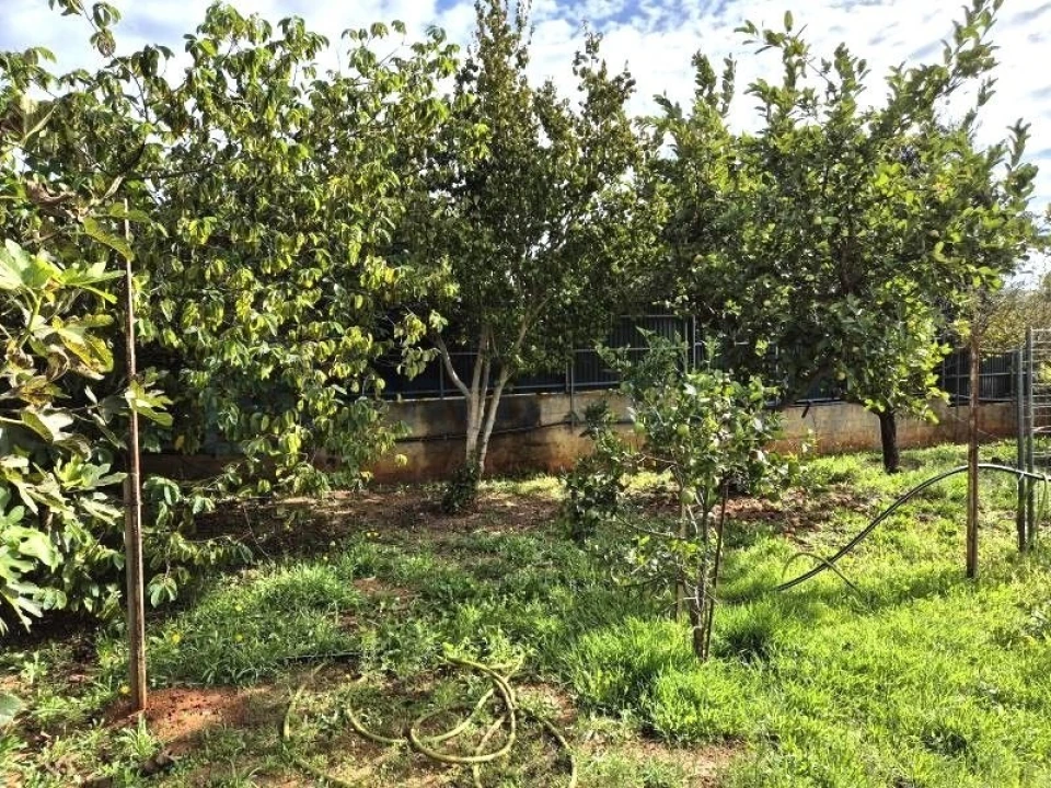 Terreno para Venda em Quarteira Foto 29