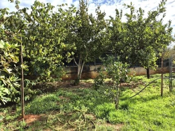 Terreno para Venda em Quarteira