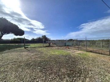 Terreno para Venda em Quarteira