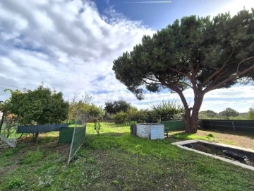 Terreno para Venda em Quarteira