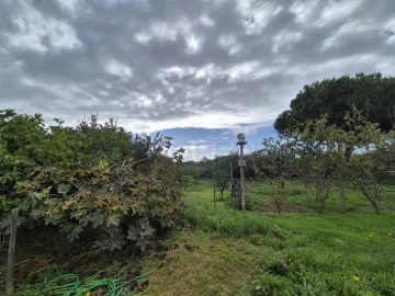 Terreno para Venda em Quarteira