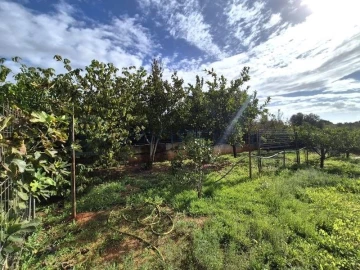 Terreno para Venda em Quarteira
