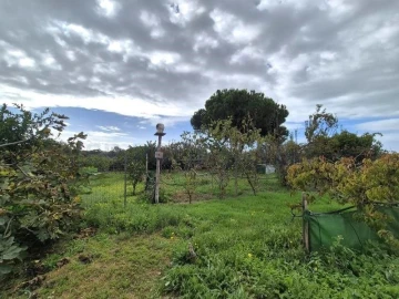 Terreno para Venda em Quarteira
