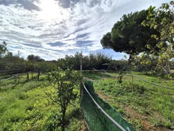 Terreno para Venda em Quarteira