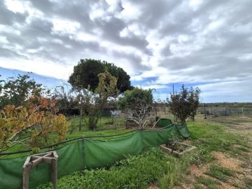 Terreno para Venda em Quarteira