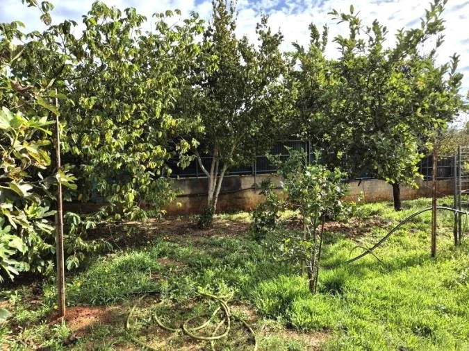 Terreno para Venda em Quarteira Foto 29