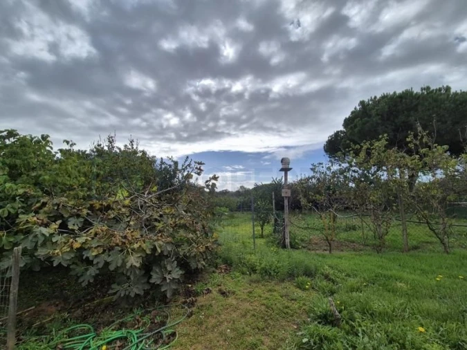 Terreno para Venda em Quarteira Foto 8