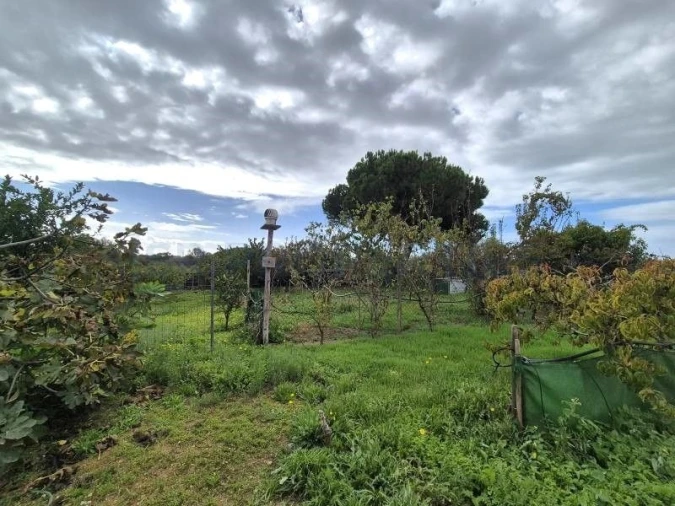 Terreno para Venda em Quarteira Foto 7