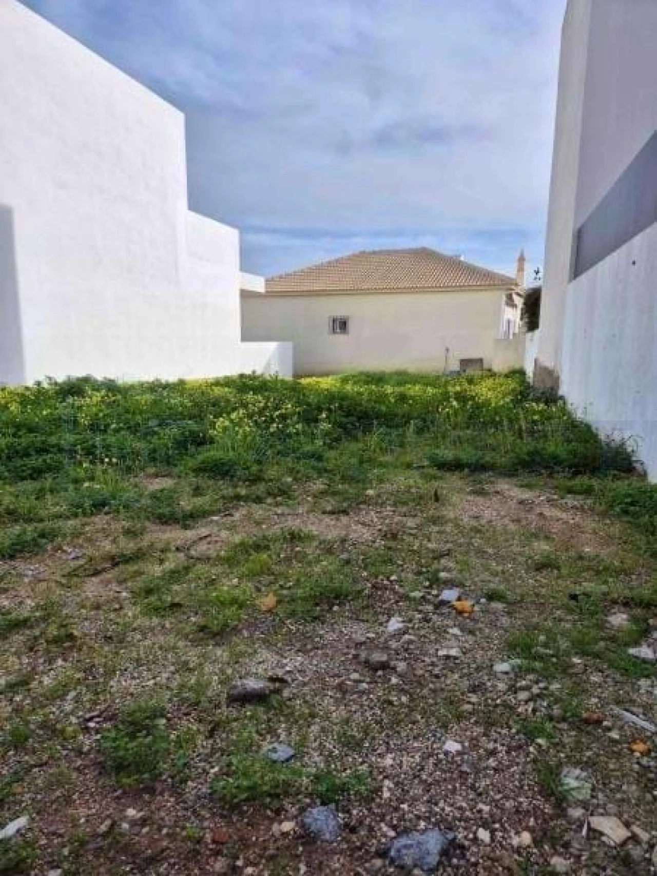 Terreno para Venda em Montenegro Foto 10