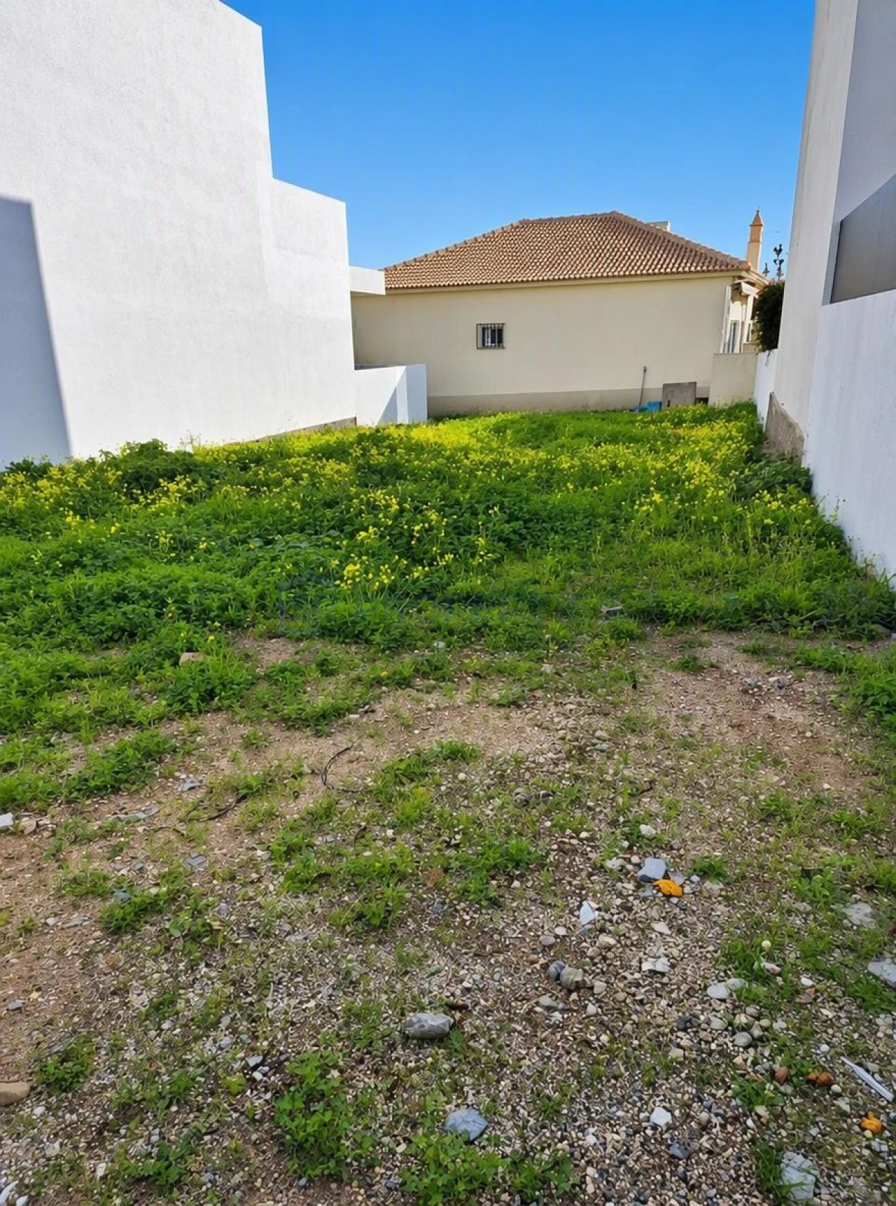 Terreno para Venda em Montenegro Foto 5