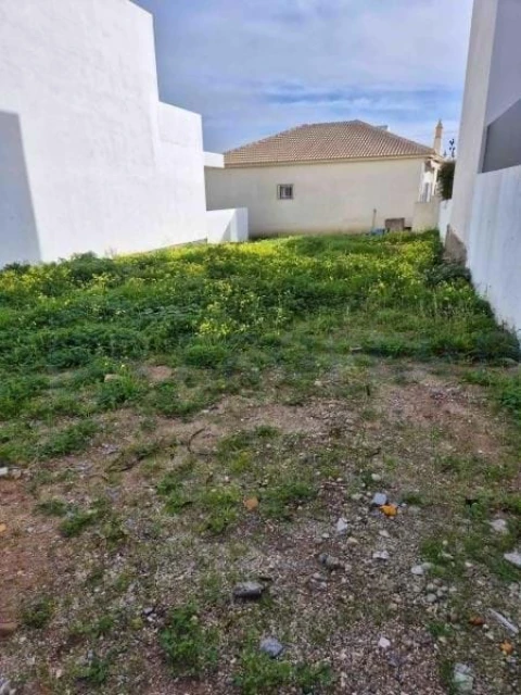 Terreno para Venda em Montenegro