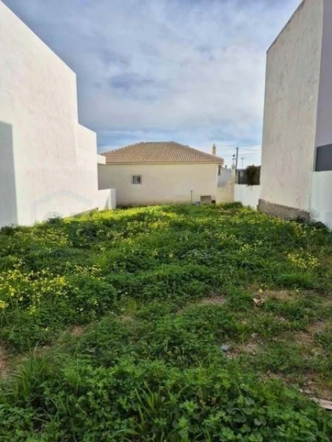 Terreno para Venda em Montenegro