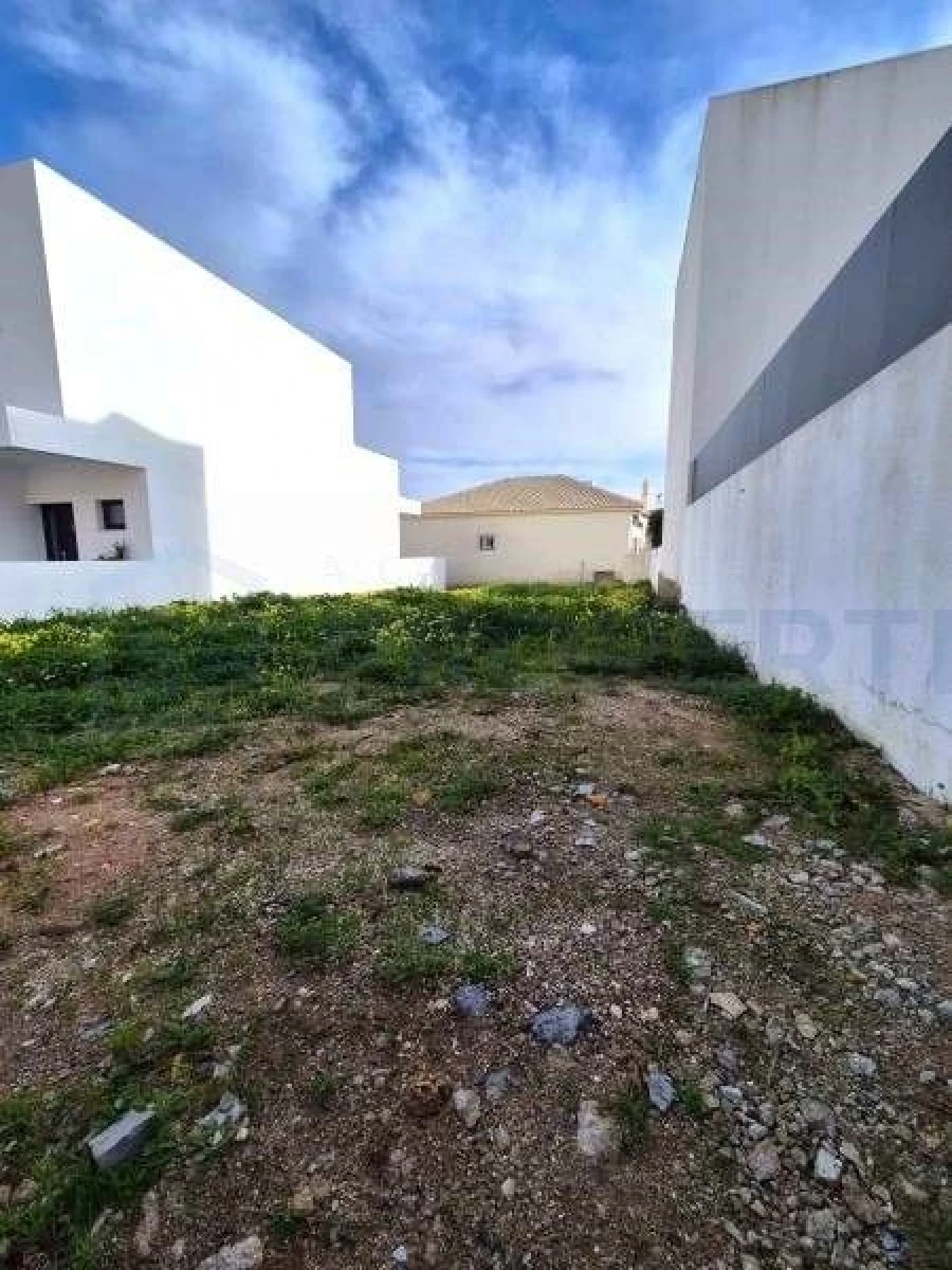 Terreno para Venda em Montenegro Foto 3