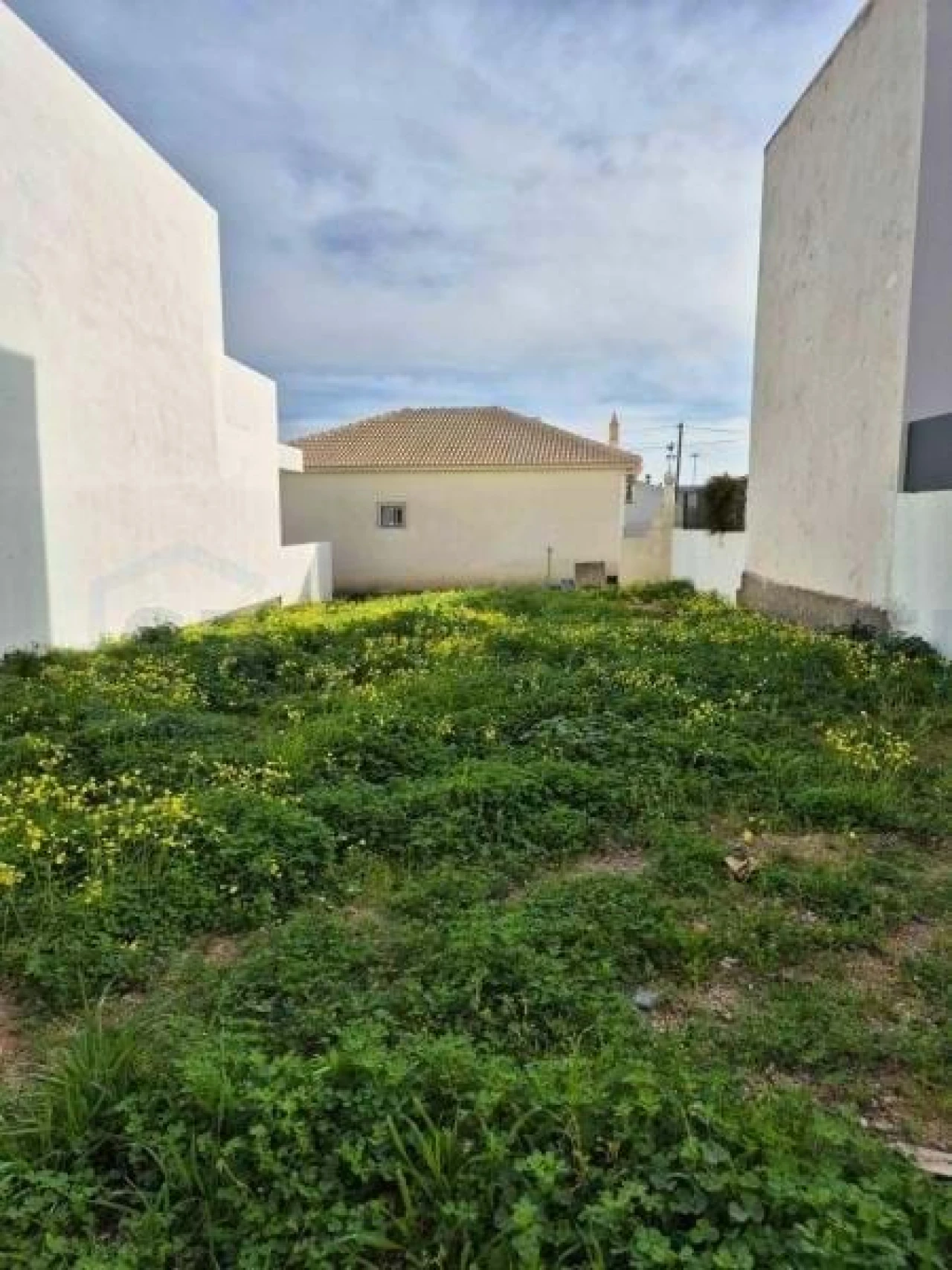 Terreno para Venda em Montenegro Foto 13