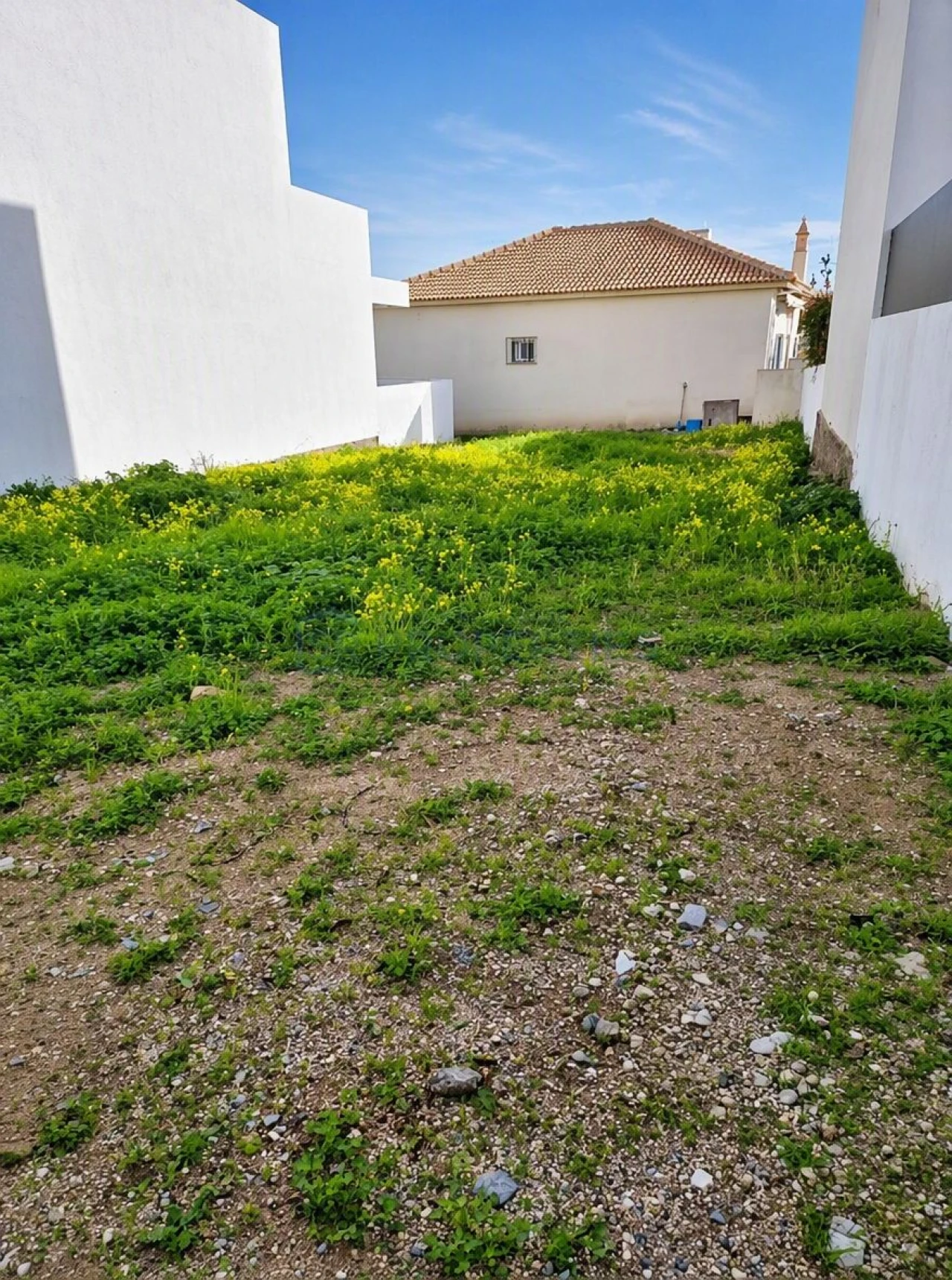 Terreno para Venda em Montenegro Foto 1