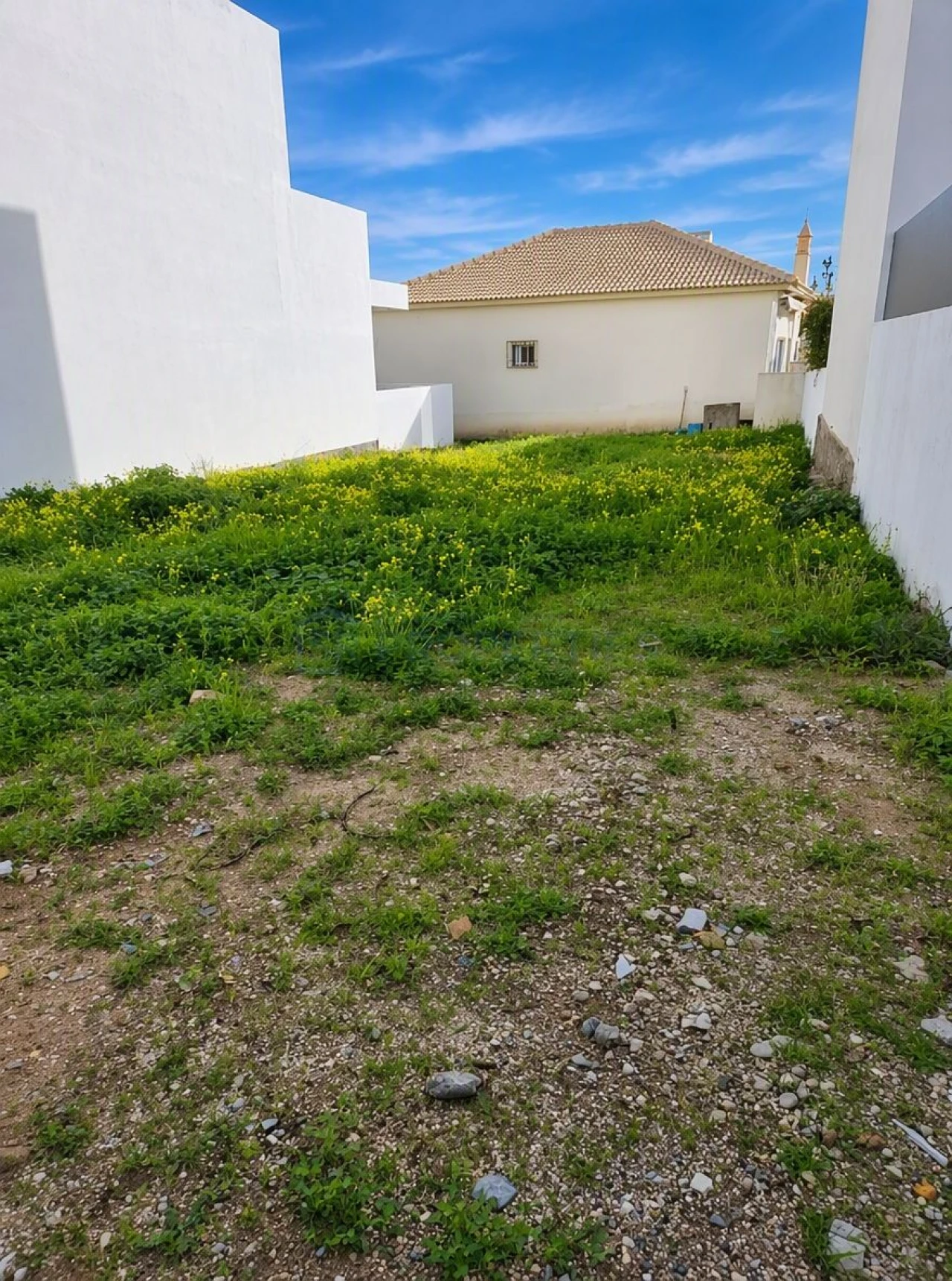Terreno para Venda em Montenegro Foto 11