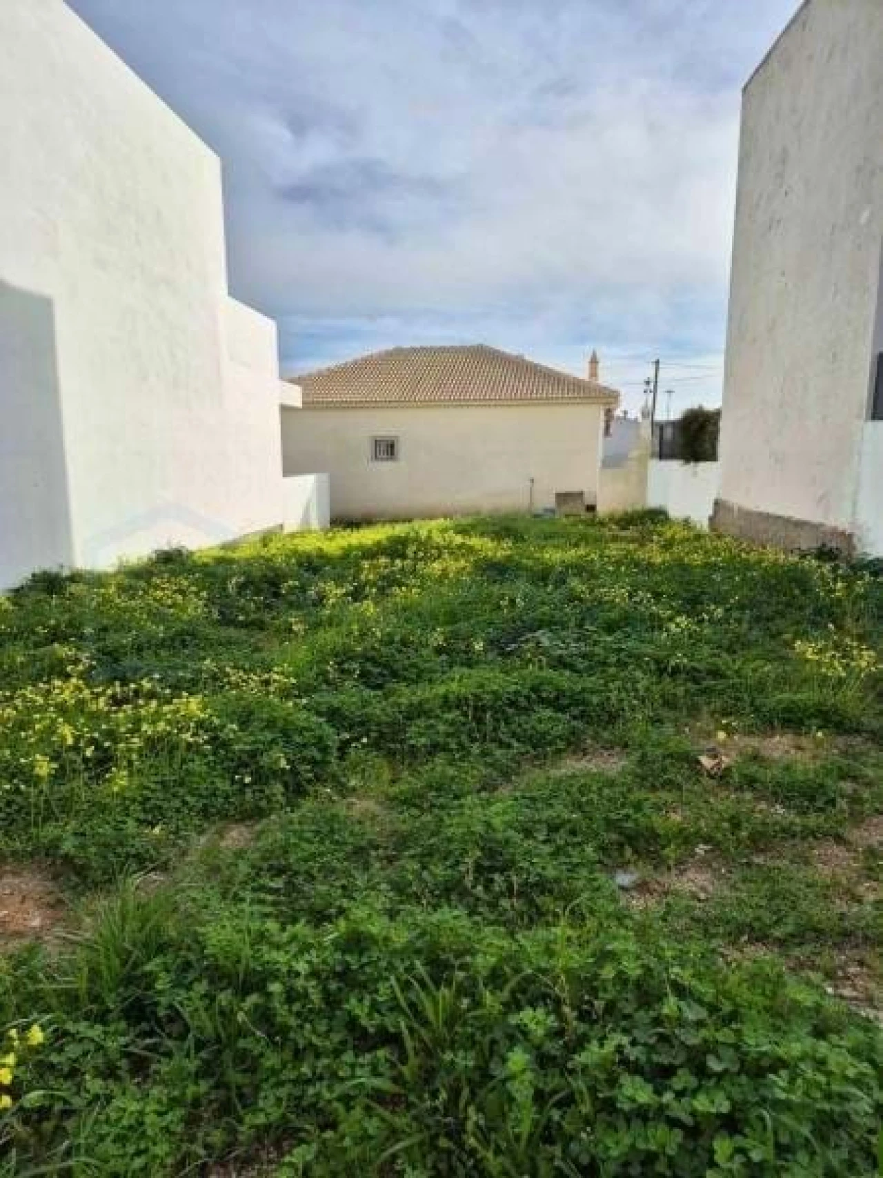 Terreno para Venda em Montenegro Foto 9