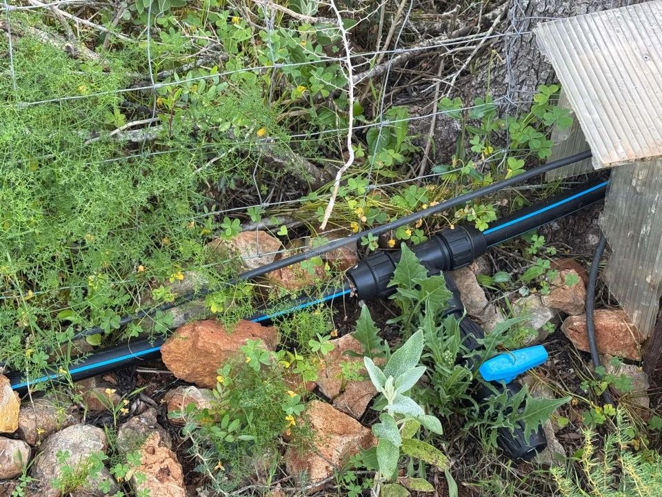 Terreno para Venda em Lagos (São Sebastião e Santa Maria) Foto 6