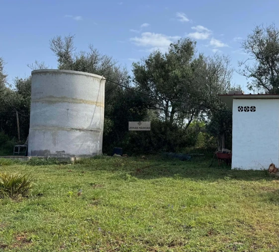 Terreno para Venda em Lagos (São Sebastião e Santa Maria) Foto 4