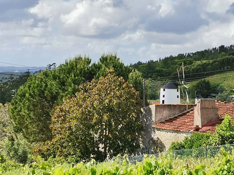 Quinta T3 para Venda em Vila Verde dos Francos Foto 13