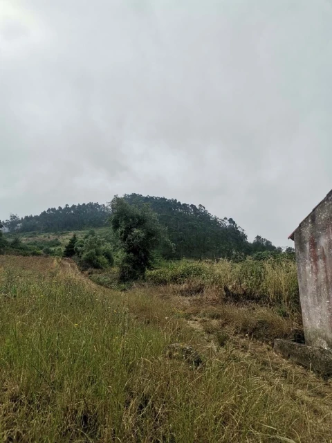 Quinta T3 para Venda em Vila Verde dos Francos