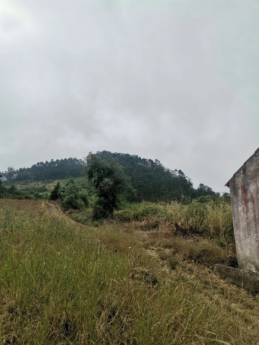 Quinta T3 para Venda em Vila Verde dos Francos Foto 14